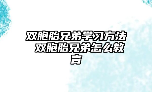 雙胞胎兄弟學習方法 雙胞胎兄弟怎么教育