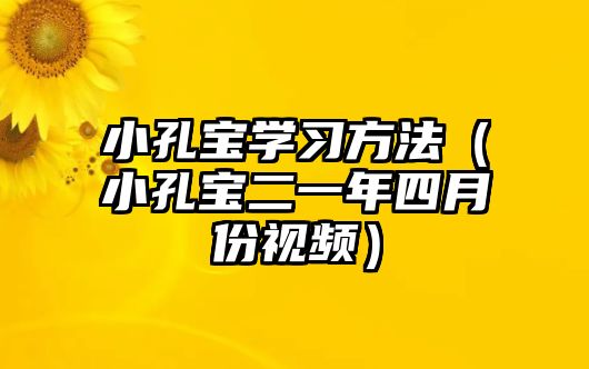 小孔寶學習方法（小孔寶二一年四月份視頻）