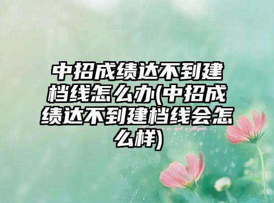 中招成績(jī)達(dá)不到建檔線怎么辦(中招成績(jī)達(dá)不到建檔線會(huì)怎么樣)