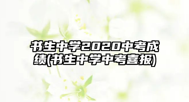 書生中學2020中考成績(書生中學中考喜報)