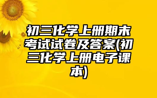 初三化學上冊期末考試試卷及答案(初三化學上冊電子課本)