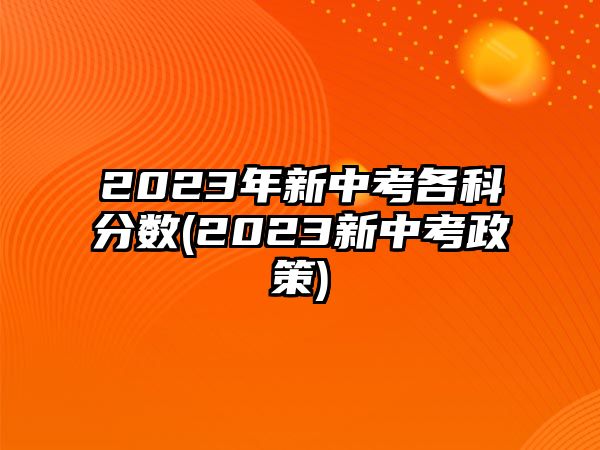 2023年新中考各科分數(shù)(2023新中考政策)