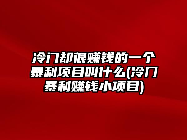 冷門(mén)卻很賺錢(qián)的一個(gè)暴利項(xiàng)目叫什么(冷門(mén)暴利賺錢(qián)小項(xiàng)目)