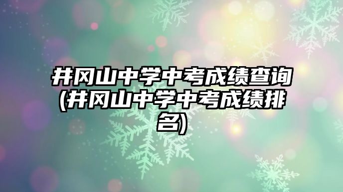 井岡山中學中考成績查詢(井岡山中學中考成績排名)