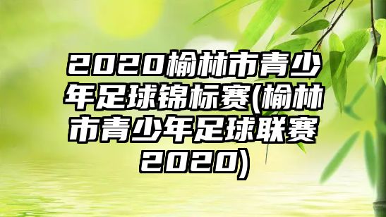 2020榆林市青少年足球錦標賽(榆林市青少年足球聯賽2020)