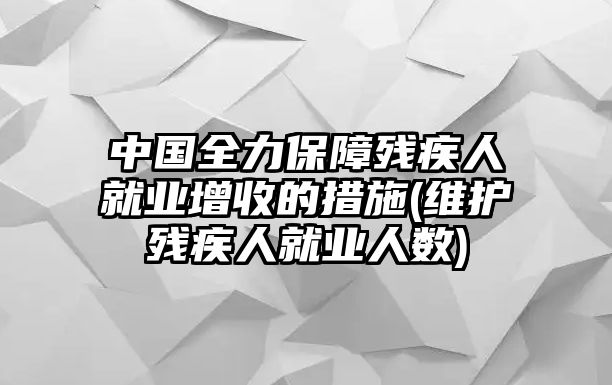 中國全力保障殘疾人就業(yè)增收的措施(維護(hù)殘疾人就業(yè)人數(shù))