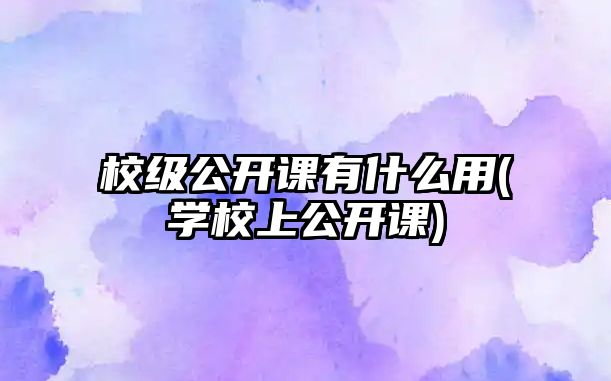 校級公開課有什么用(學(xué)校上公開課)