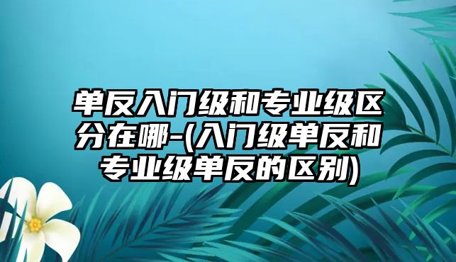 單反入門級和專業(yè)級區(qū)分在哪-(入門級單反和專業(yè)級單反的區(qū)別)