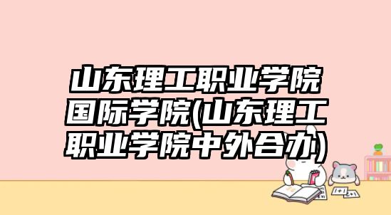 山東理工職業(yè)學(xué)院國際學(xué)院(山東理工職業(yè)學(xué)院中外合辦)