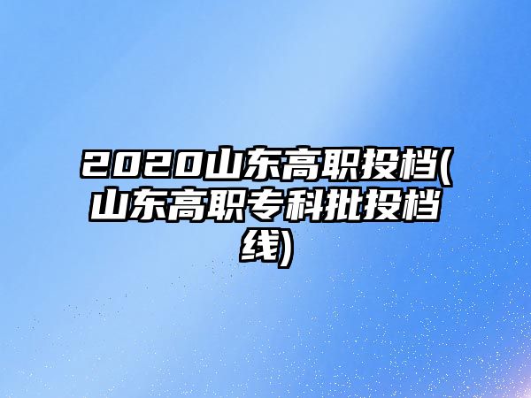 2020山東高職投檔(山東高職?？婆稒n線)