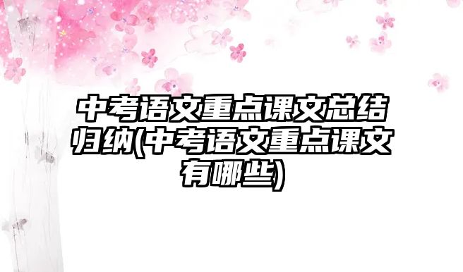 中考語文重點課文總結(jié)歸納(中考語文重點課文有哪些)