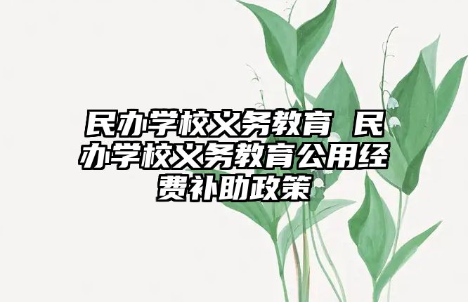 民辦學(xué)校義務(wù)教育 民辦學(xué)校義務(wù)教育公用經(jīng)費(fèi)補(bǔ)助政策