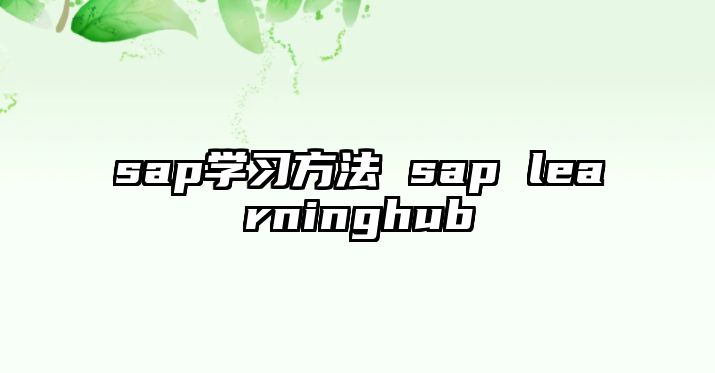 sap學(xué)習(xí)方法 sap learninghub