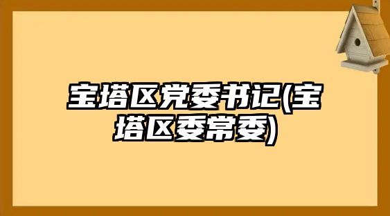 寶塔區(qū)黨委書記(寶塔區(qū)委常委)