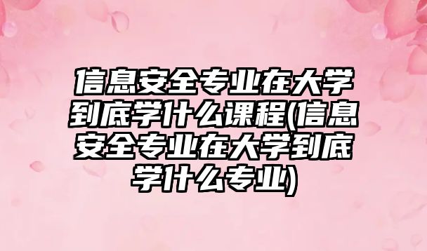 信息安全專業(yè)在大學(xué)到底學(xué)什么課程(信息安全專業(yè)在大學(xué)到底學(xué)什么專業(yè))