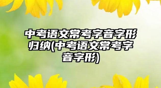 中考語文常考字音字形歸納(中考語文?？甲忠糇中?