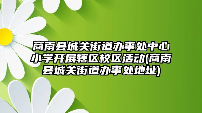 商南縣城關街道辦事處中心小學開展轄區(qū)校區(qū)活動(商南縣城關街道辦事處地址)