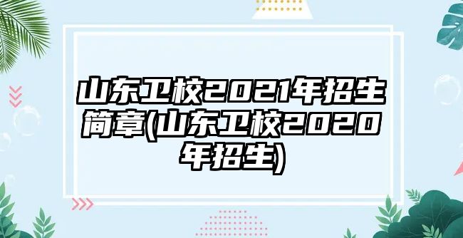 山東衛(wèi)校2021年招生簡章(山東衛(wèi)校2020年招生)