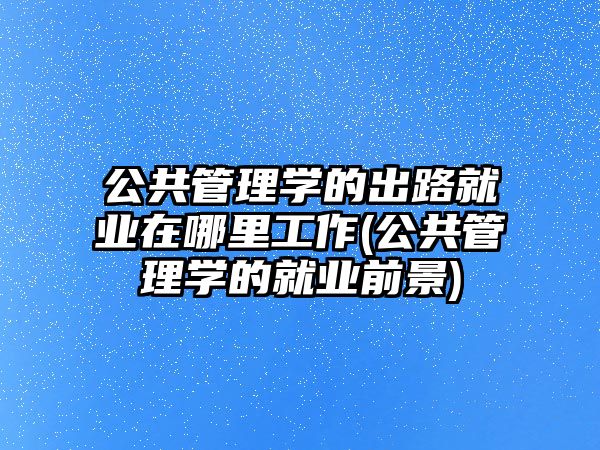 公共管理學的出路就業(yè)在哪里工作(公共管理學的就業(yè)前景)