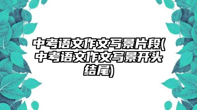 中考語(yǔ)文作文寫(xiě)景片段(中考語(yǔ)文作文寫(xiě)景開(kāi)頭結(jié)尾)