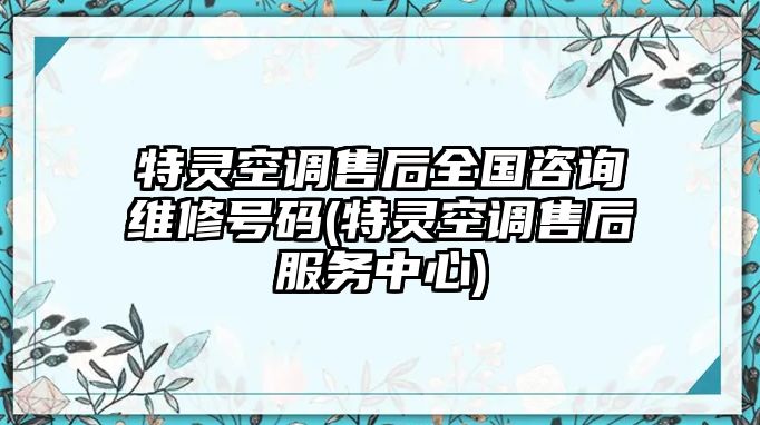 特靈空調(diào)售后全國咨詢維修號碼(特靈空調(diào)售后服務中心)