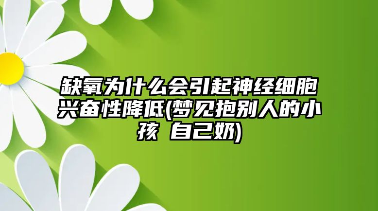 缺氧為什么會引起神經(jīng)細(xì)胞興奮性降低(夢見抱別人的小孩暍自己奶)