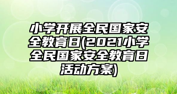 小學(xué)開展全民國家安全教育日(2021小學(xué)全民國家安全教育日活動方案)