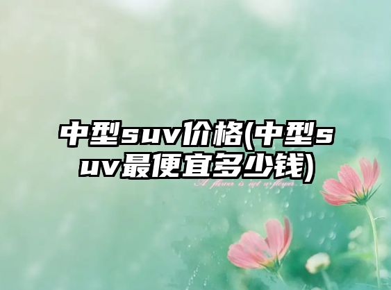 中型suv價格(中型suv最便宜多少錢)