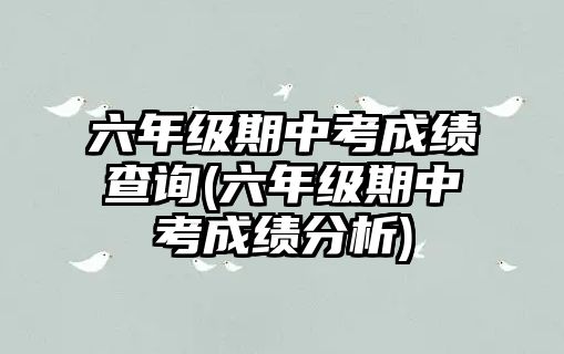 六年級期中考成績查詢(六年級期中考成績分析)