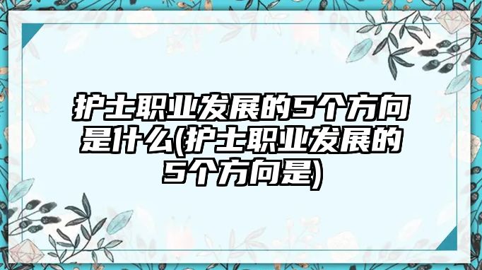 護(hù)士職業(yè)發(fā)展的5個(gè)方向是什么(護(hù)士職業(yè)發(fā)展的5個(gè)方向是)