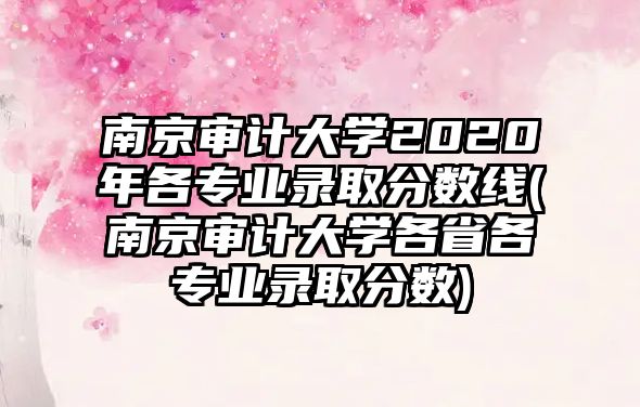 南京審計(jì)大學(xué)2020年各專業(yè)錄取分?jǐn)?shù)線(南京審計(jì)大學(xué)各省各專業(yè)錄取分?jǐn)?shù))