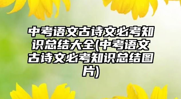 中考語文古詩文必考知識總結(jié)大全(中考語文古詩文必考知識總結(jié)圖片)