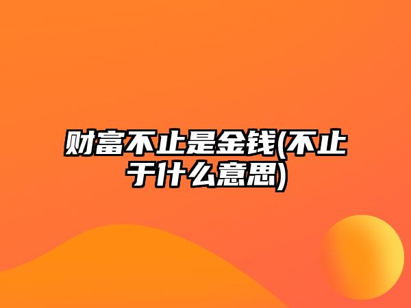 財富不止是金錢(不止于什么意思)