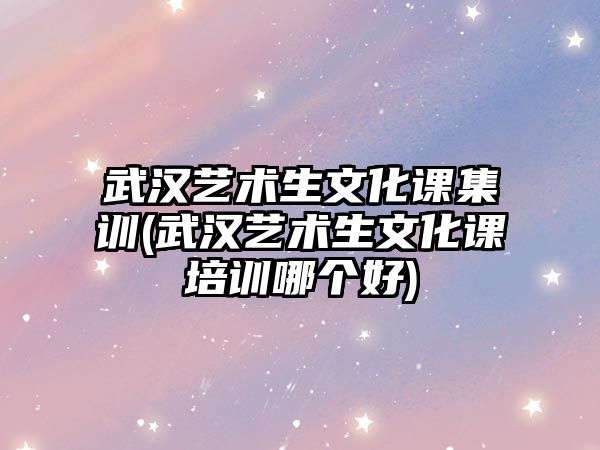 武漢藝術(shù)生文化課集訓(xùn)(武漢藝術(shù)生文化課培訓(xùn)哪個(gè)好)