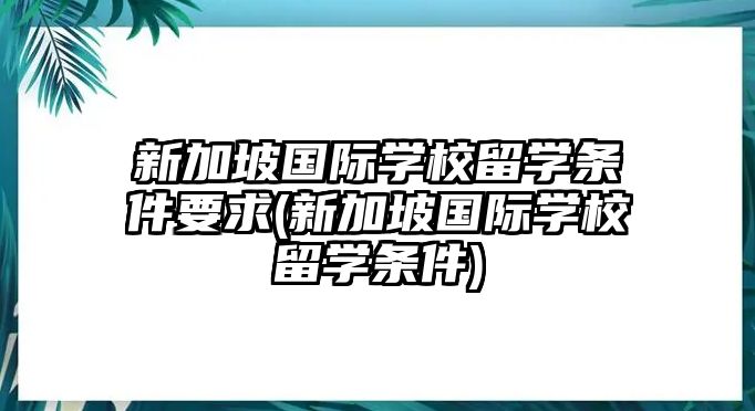 新加坡國際學(xué)校留學(xué)條件要求(新加坡國際學(xué)校留學(xué)條件)