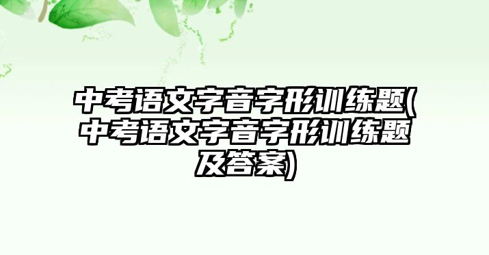 中考語文字音字形訓(xùn)練題(中考語文字音字形訓(xùn)練題及答案)