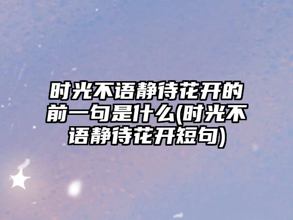 時光不語靜待花開的前一句是什么(時光不語靜待花開短句)