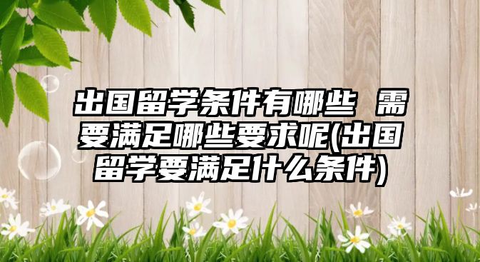 出國留學(xué)條件有哪些 需要滿足哪些要求呢(出國留學(xué)要滿足什么條件)