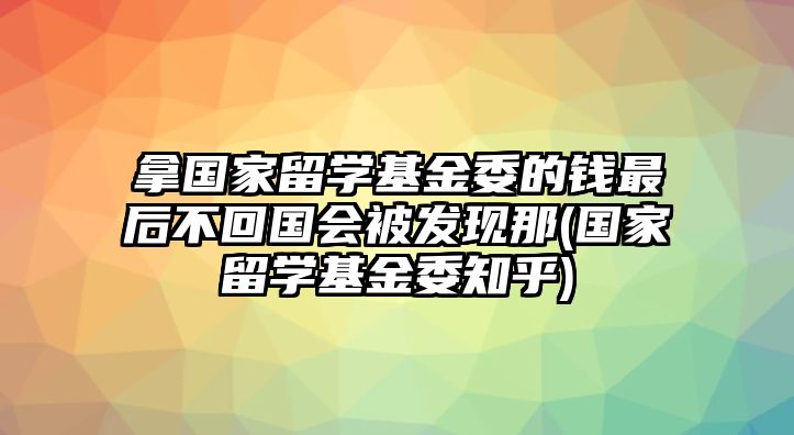 拿國家留學(xué)基金委的錢最后不回國會被發(fā)現(xiàn)那(國家留學(xué)基金委知乎)