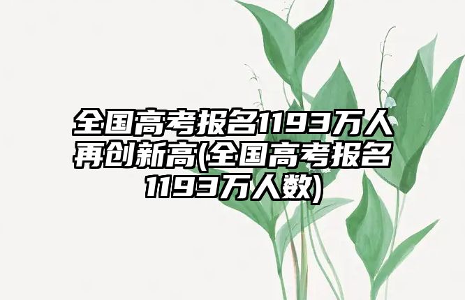 全國高考報(bào)名1193萬人再創(chuàng)新高(全國高考報(bào)名1193萬人數(shù))