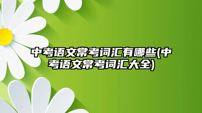 中考語文?？荚~匯有哪些(中考語文常考詞匯大全)