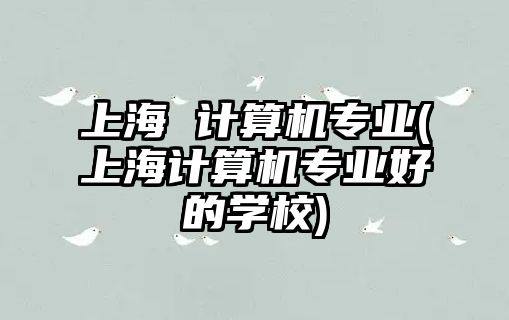 上海 計算機專業(yè)(上海計算機專業(yè)好的學(xué)校)