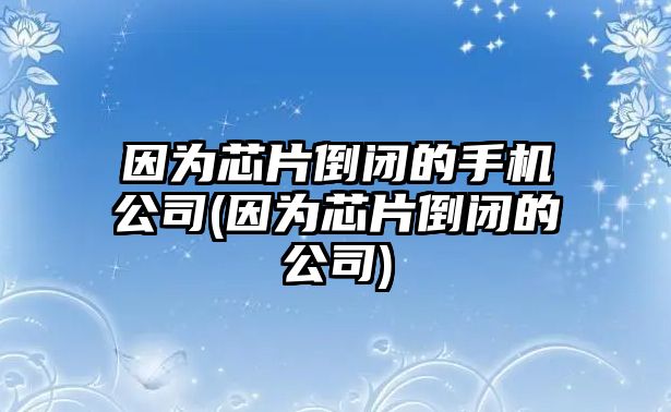 因?yàn)樾酒归]的手機(jī)公司(因?yàn)樾酒归]的公司)