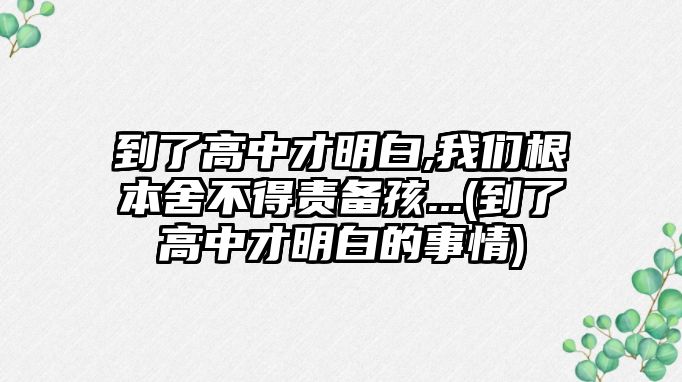 到了高中才明白,我們根本舍不得責備孩...(到了高中才明白的事情)