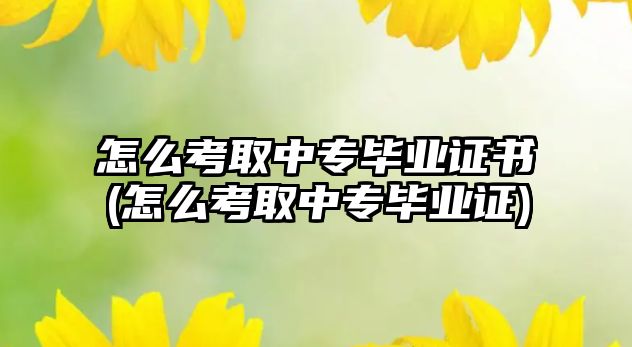 怎么考取中專畢業(yè)證書(怎么考取中專畢業(yè)證)