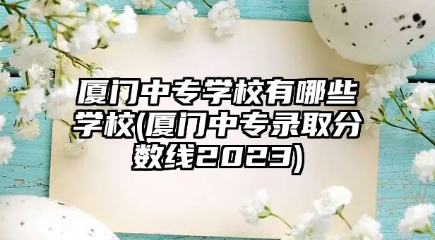 廈門中專學(xué)校有哪些學(xué)校(廈門中專錄取分數(shù)線2023)