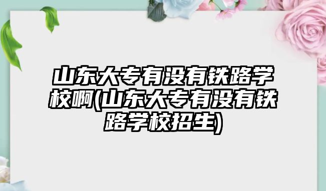 山東大專有沒有鐵路學校啊(山東大專有沒有鐵路學校招生)