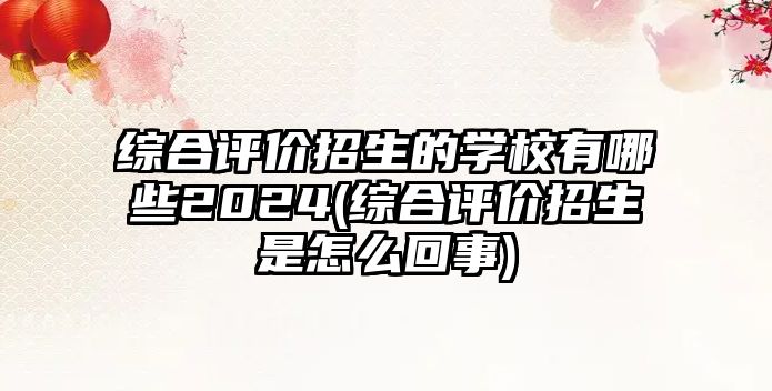 綜合評價招生的學校有哪些2024(綜合評價招生是怎么回事)