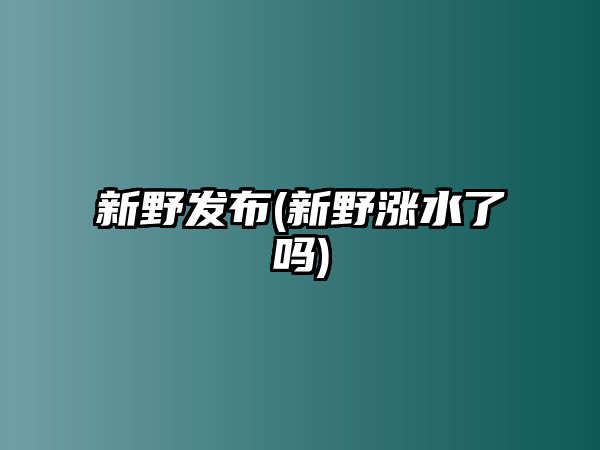 新野發(fā)布(新野漲水了嗎)