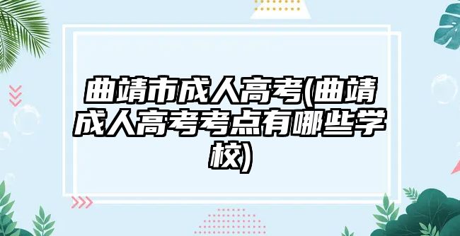 曲靖市成人高考(曲靖成人高考考點有哪些學校)